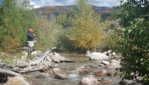el poso